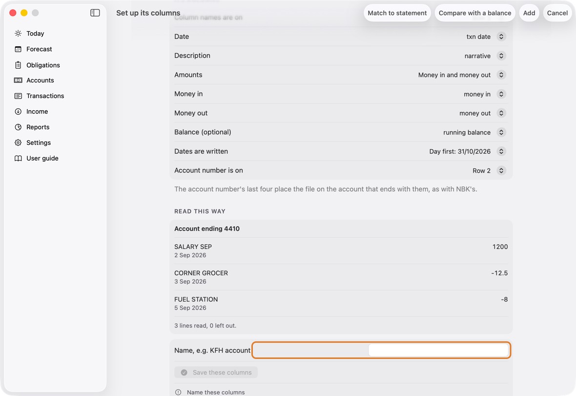 Check the columns the app found, and the preview at the bottom: the balance it reads must match the file's.